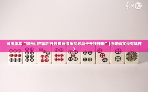 可用版本“微乐山东麻将开挂神器微乐捉老麻子开挂神器”(原来确实是有插件)
