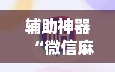 辅助神器“微信麻将小程序必赢神器免费(透视)”详细辅助透视