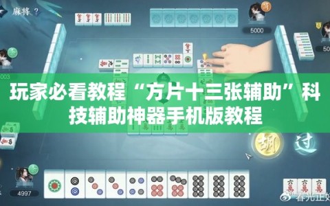 玩家必看教程“方片十三张辅助”科技辅助神器手机版教程