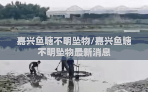 嘉兴鱼塘不明坠物/嘉兴鱼塘不明坠物最新消息