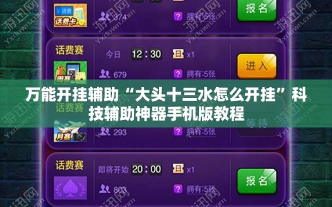 万能开挂辅助“大头十三水怎么开挂”科技辅助神器手机版教程