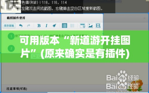 可用版本“新道游开挂图片”(原来确实是有插件)