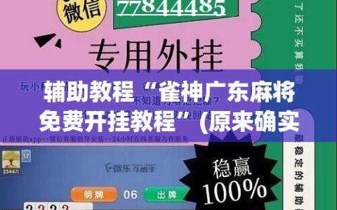 辅助教程“雀神广东麻将免费开挂教程”(原来确实是有插件)