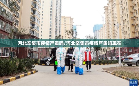 河北辛集市疫情严重吗/河北辛集市疫情严重吗现在