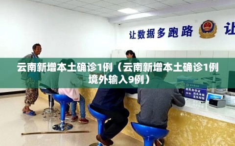 云南新增本土确诊1例（云南新增本土确诊1例 境外输入9例）