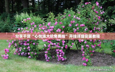 分享干货“心悦填大坑免费挂”开挂详细安装教程