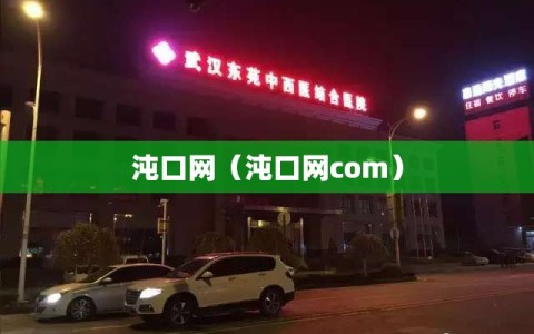 沌口网（沌口网com）