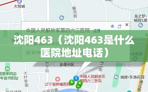 沈阳463（沈阳463是什么医院地址电话）