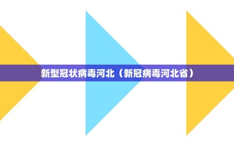 新型冠状病毒河北（新冠病毒河北省）