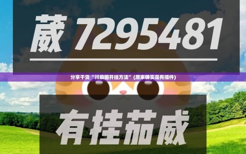 分享干货“川麻圈开挂方法”(原来确实是有插件)
