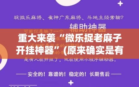 重大来袭“微乐捉老麻子开挂神器”(原来确实是有插件)