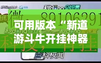 可用版本“新道游斗牛开挂神器”(曝光透视必备猫腻)