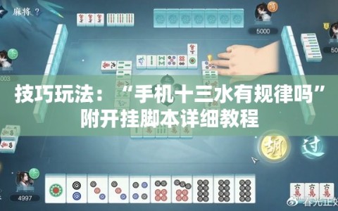 技巧玩法：“手机十三水有规律吗”附开挂脚本详细教程