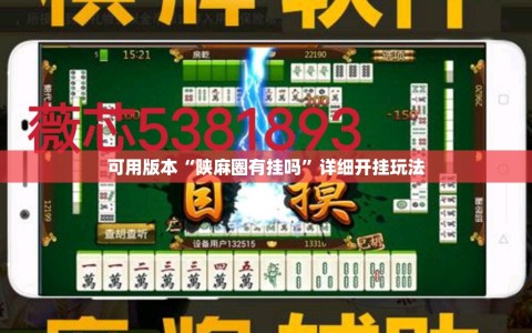 可用版本“陕麻圈有挂吗”详细开挂玩法