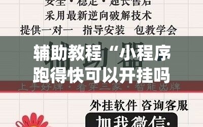 辅助教程“小程序跑得快可以开挂吗”(原来确实是有插件)