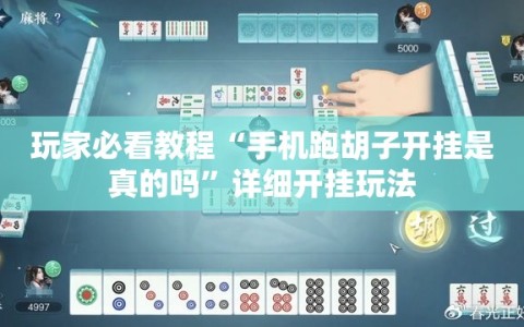 玩家必看教程“手机跑胡子开挂是真的吗”详细开挂玩法