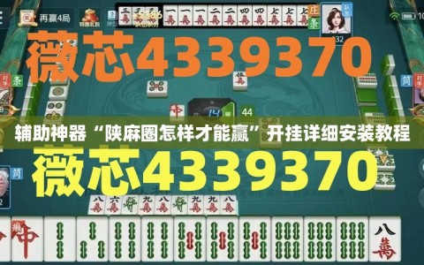 辅助神器“陕麻圈怎样才能赢”开挂详细安装教程