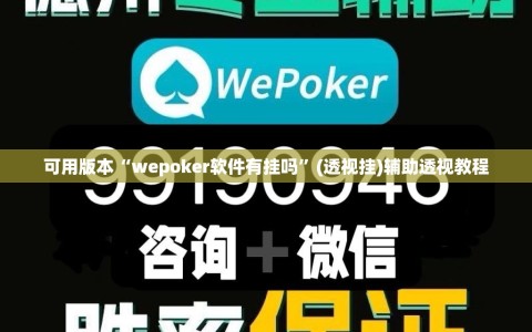 可用版本“wepoker软件有挂吗”(透视挂)辅助透视教程
