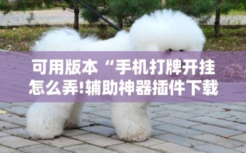 可用版本“手机打牌开挂怎么弄!辅助神器插件下载