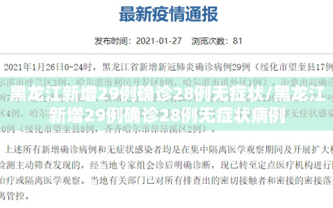 黑龙江新增29例确诊28例无症状/黑龙江新增29例确诊28例无症状病例