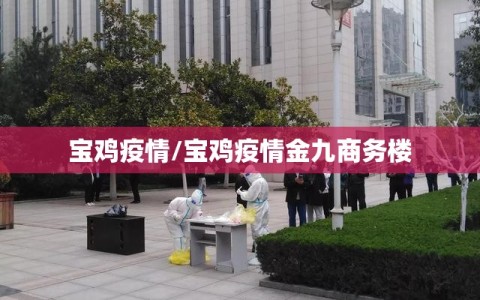 宝鸡疫情/宝鸡疫情金九商务楼