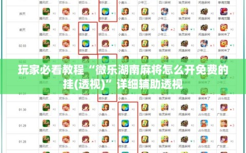玩家必看教程“微乐湖南麻将怎么开免费的挂(透视)”详细辅助透视