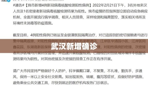武汉新增确诊