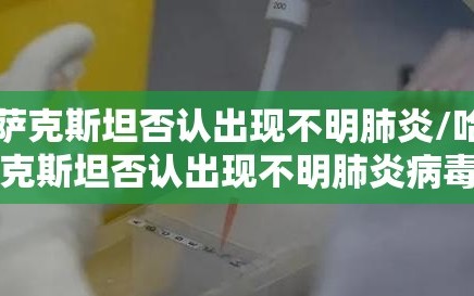 哈萨克斯坦否认出现不明肺炎/哈萨克斯坦否认出现不明肺炎病毒