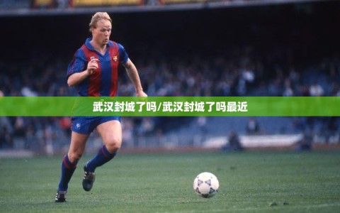 武汉封城了吗/武汉封城了吗最近