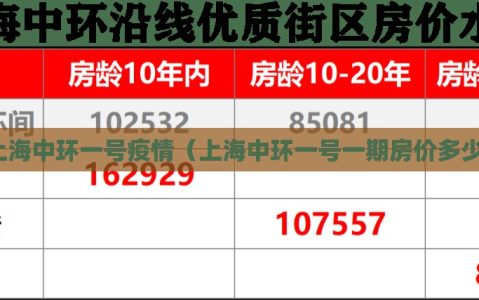 上海中环一号疫情（上海中环一号一期房价多少）