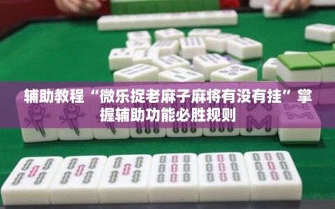辅助教程“微乐捉老麻子麻将有没有挂”掌握辅助功能必胜规则