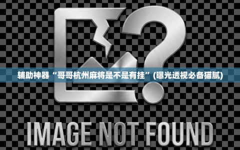 辅助神器“哥哥杭州麻将是不是有挂”(曝光透视必备猫腻)