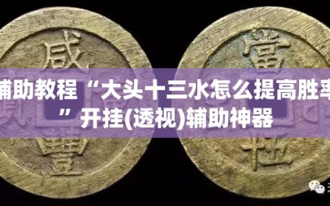 辅助教程“大头十三水怎么提高胜率”开挂(透视)辅助神器