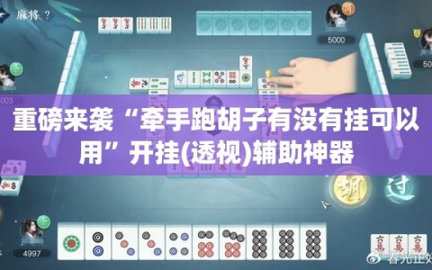 重磅来袭“牵手跑胡子有没有挂可以用”开挂(透视)辅助神器