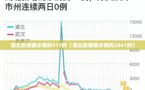 湖北新增确诊病例411例（湖北新增确诊病例2841例）