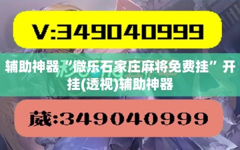 辅助神器“微乐石家庄麻将免费挂”开挂(透视)辅助神器