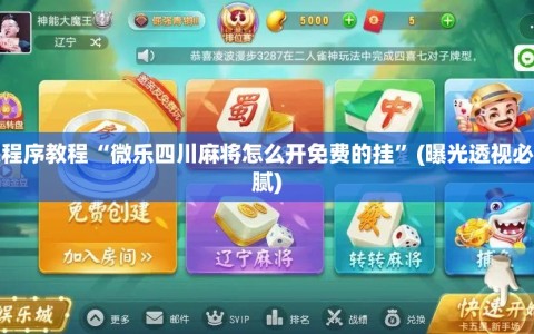 安装程序教程“微乐四川麻将怎么开免费的挂”(曝光透视必备猫腻)