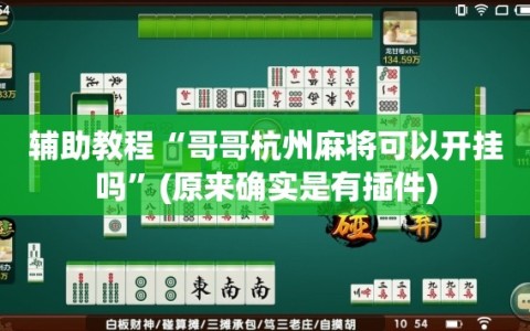 辅助教程“哥哥杭州麻将可以开挂吗”(原来确实是有插件)