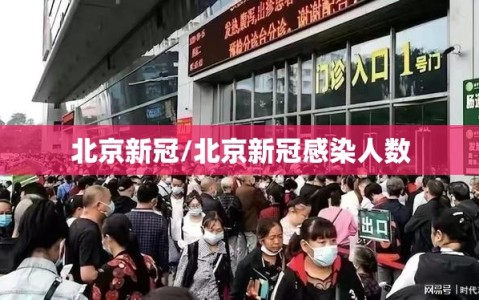 北京新冠/北京新冠感染人数