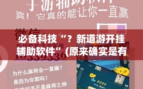 必备科技“？新道游开挂辅助软件”(原来确实是有插件)