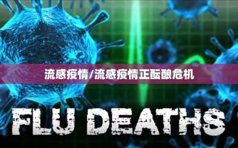 流感疫情/流感疫情正酝酿危机