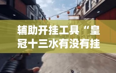 辅助开挂工具“皇冠十三水有没有挂”开挂(透视)辅助神器