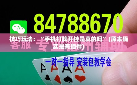 技巧玩法：“手机打牌开挂是真的吗”(原来确实是有插件)