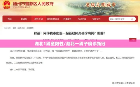 湖北1男童阳性/湖北一男子确诊新冠