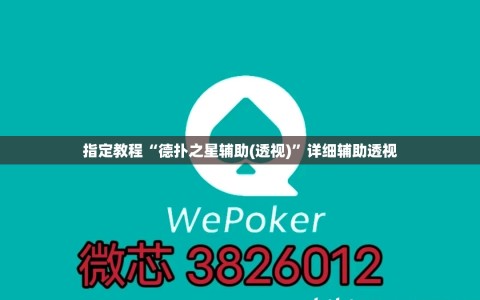 指定教程“德扑之星辅助(透视)”详细辅助透视