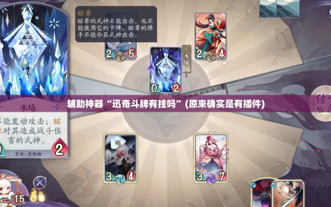 辅助神器“迅奇斗牌有挂吗”(原来确实是有插件)