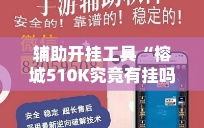 辅助开挂工具“榕城510K究竟有挂吗”详细开挂玩法