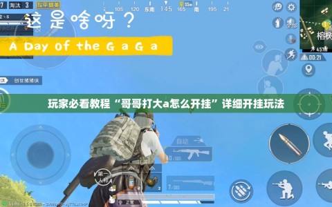 玩家必看教程“哥哥打大a怎么开挂”详细开挂玩法