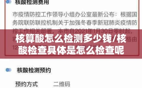 核算酸怎么检测多少钱/核酸检查具体是怎么检查呢,收费是怎样的?