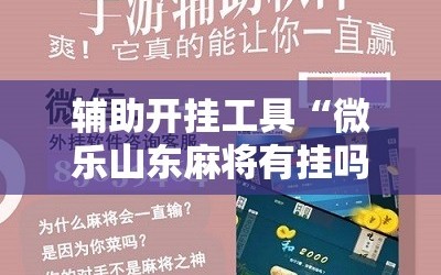 辅助开挂工具“微乐山东麻将有挂吗”科技辅助神器手机版教程